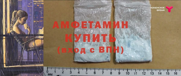 амф Володарск