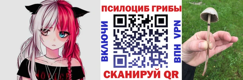 Галлюциногенные грибы прущие грибы закладки Рязань